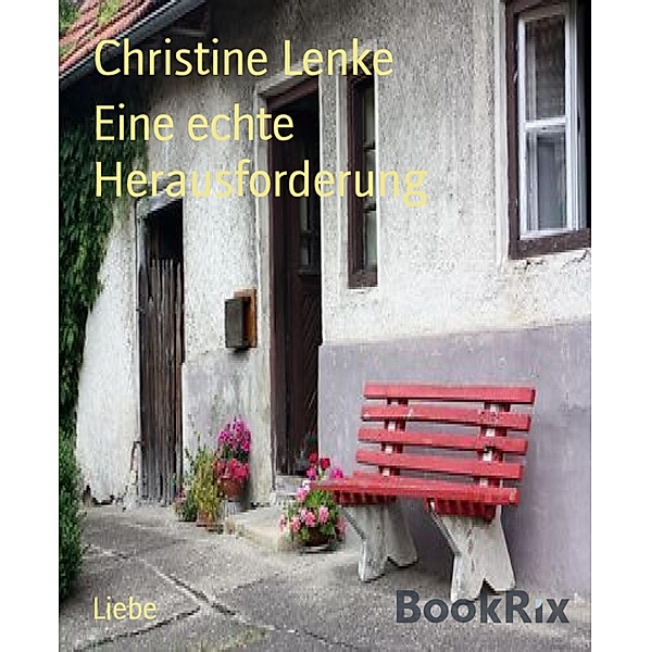 Eine echte Herausforderung, Christine Lenke
