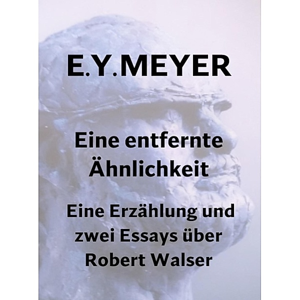 Eine entfernte Ähnlichkeit, E. Y. Meyer