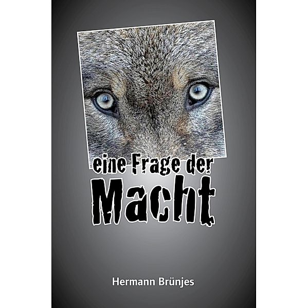 Eine Frage der Macht / Jens Jahnke Krimis Bd.5, Hermann Brünjes