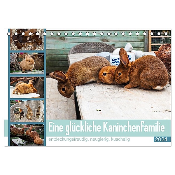 Eine glückliche Kaninchenfamilie (Tischkalender 2024 DIN A5 quer), CALVENDO Monatskalender, Christoph Maas
