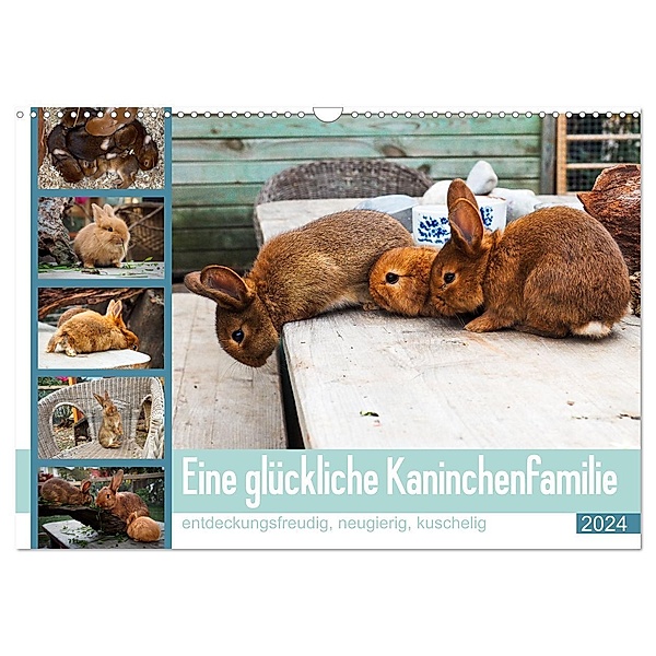Eine glückliche Kaninchenfamilie (Wandkalender 2024 DIN A3 quer), CALVENDO Monatskalender, Christoph Maas