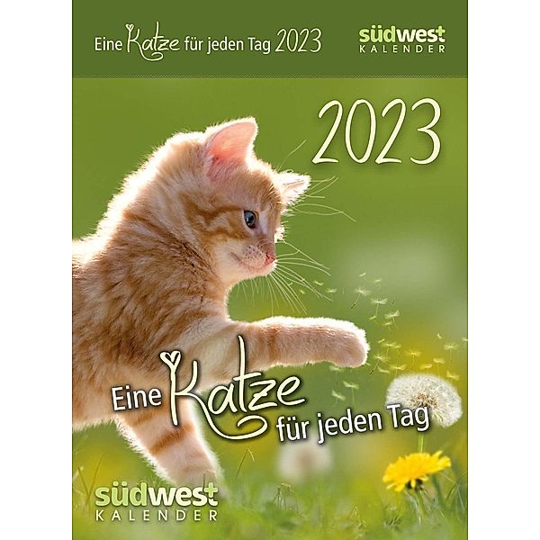 Eine Katze für jeden Tag 2023  - Tagesabreißkalender zum Aufstellen oder Aufhängen