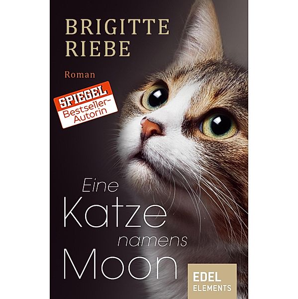 Eine Katze namens Moon, Brigitte Riebe