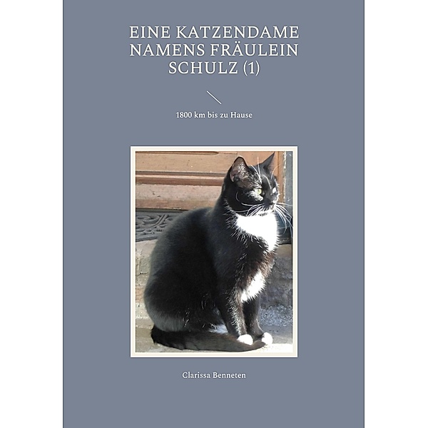 Eine Katzendame namens Fräulein Schulz / Eine Katzendame namens Fräulein Schulz (1) Bd.1, Clarissa Benneten