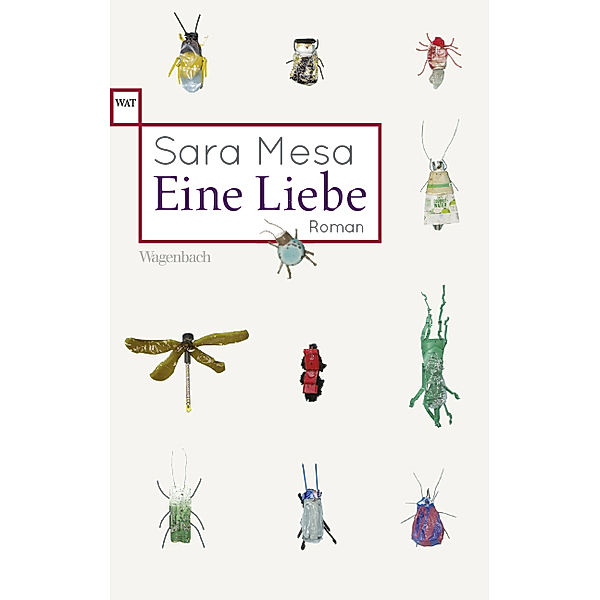 Eine Liebe, Sara Mesa