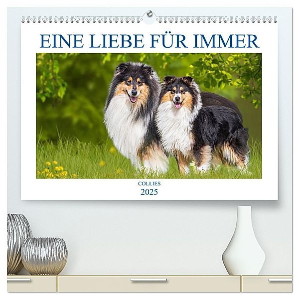 Eine Liebe für immer - Collies (hochwertiger Premium Wandkalender 2025 DIN A2 quer), Kunstdruck in Hochglanz, Calvendo, Sigrid Starick