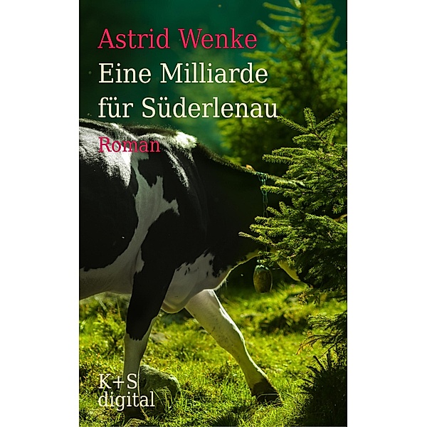 Eine Milliarde für Süderlenau, Astrid Wenke