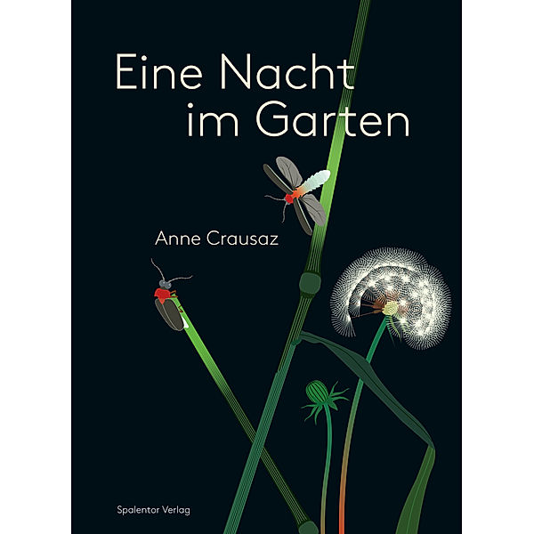 Eine Nacht im Garten, Anne Crausaz