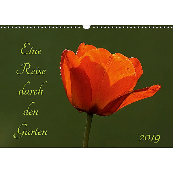 Eine Reise durch den Garten (Wandkalender 2019 DIN A3 quer), Sigrid Enkemeier