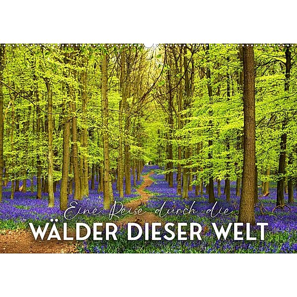 Eine Reise durch die Wälder dieser Welt (Wandkalender 2023 DIN A2 quer), Happy Monkey