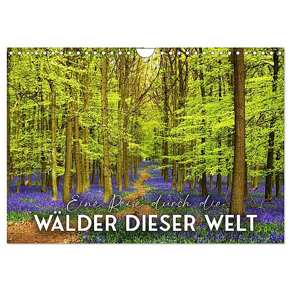 Eine Reise durch die Wälder dieser Welt (Wandkalender 2024 DIN A4 quer), CALVENDO Monatskalender, Happy Monkey