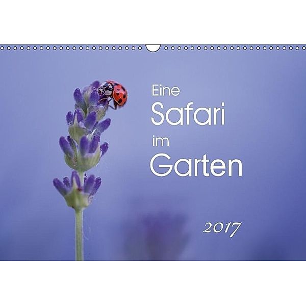 Eine Safari im Garten (Wandkalender 2017 DIN A3 quer), Irma van der Wiel