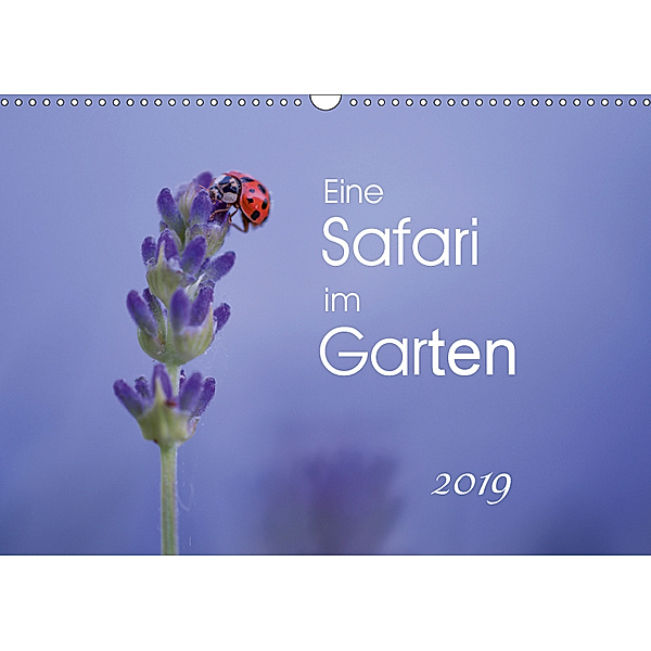 Eine Safari im Garten (Wandkalender 2019 DIN A3 quer), Irma van der Wiel