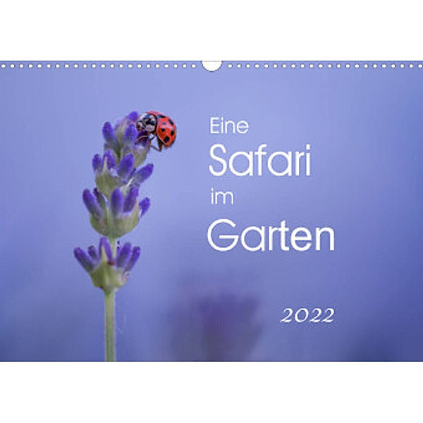 Eine Safari im Garten (Wandkalender 2022 DIN A3 quer), Irma van der Wiel