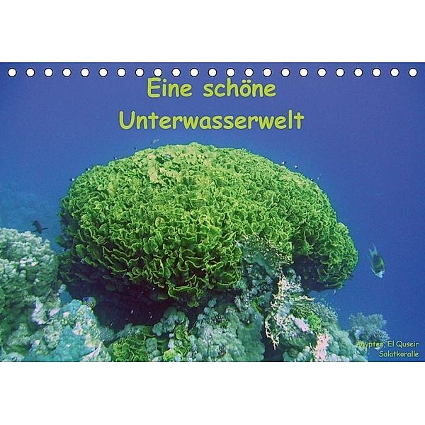 Eine schöne Unterwasserwelt (Tischkalender 2017 DIN A5 quer), Dorothee Bauch