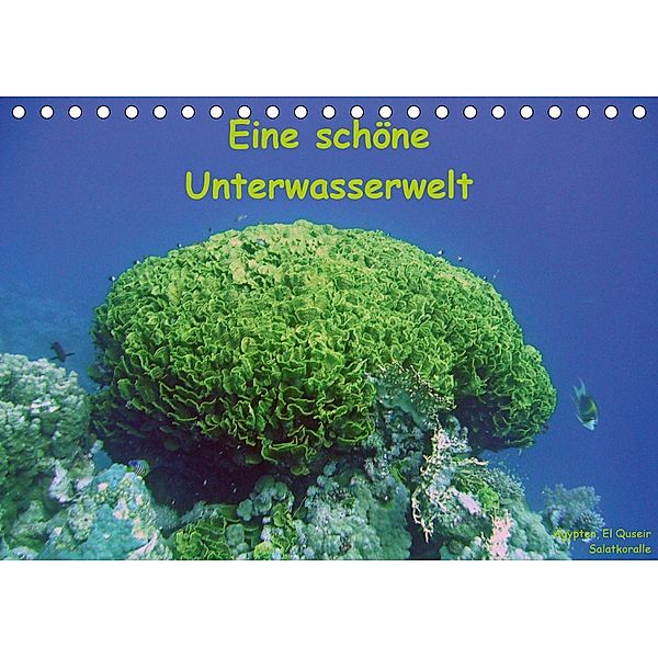 Eine schöne Unterwasserwelt (Tischkalender 2021 DIN A5 quer), Dorothee Bauch