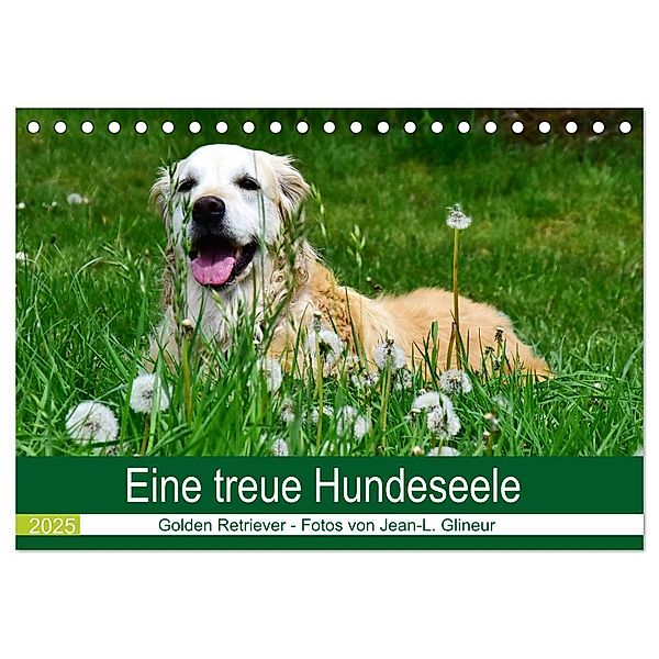 Eine treue Hundeseele - Golden Retriever (Tischkalender 2025 DIN A5 quer), CALVENDO Monatskalender, Calvendo, Jean-Louis Glineur