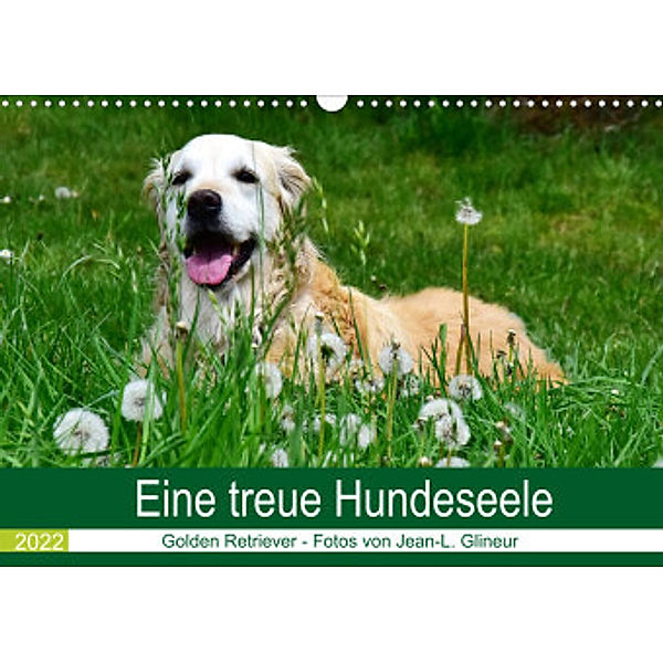 Eine treue Hundeseele - Golden Retriever (Wandkalender 2022 DIN A3 quer), Jean-Louis Glineur