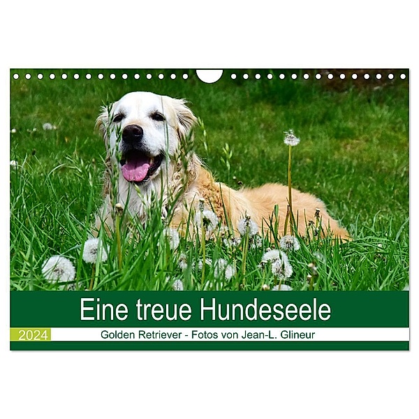 Eine treue Hundeseele - Golden Retriever (Wandkalender 2024 DIN A4 quer), CALVENDO Monatskalender, Jean-Louis Glineur