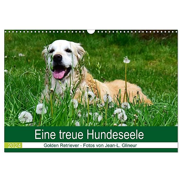 Eine treue Hundeseele - Golden Retriever (Wandkalender 2024 DIN A3 quer), CALVENDO Monatskalender, Jean-Louis Glineur