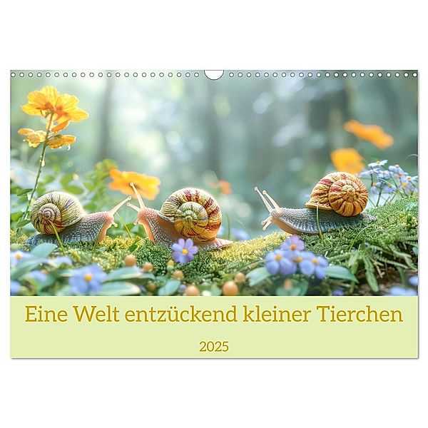 Eine Welt entzückend kleiner Tierchen (Wandkalender 2025 DIN A3 quer), CALVENDO Monatskalender, Calvendo, Liselotte Brunner-Klaus