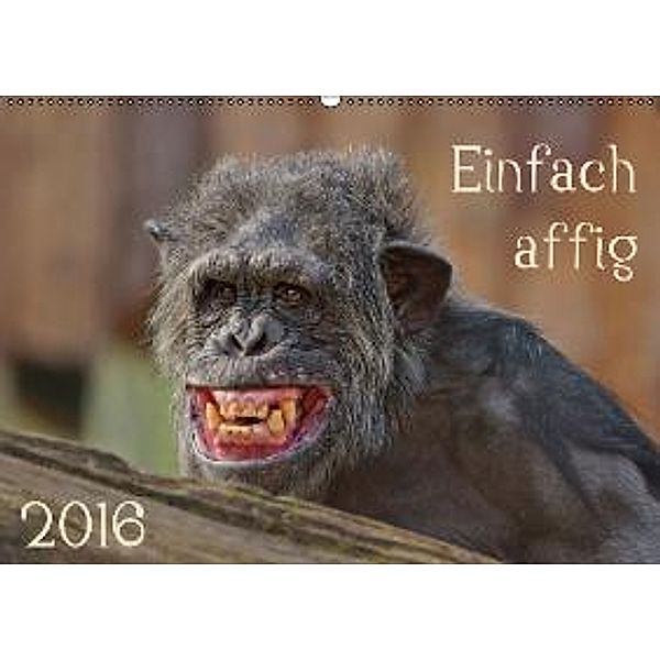 Einfach affig (Wandkalender 2016 DIN A2 quer), Sigrid Enkemeier