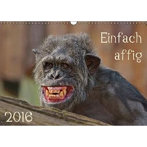 Einfach affig (Wandkalender 2016 DIN A3 quer), Sigrid Enkemeier