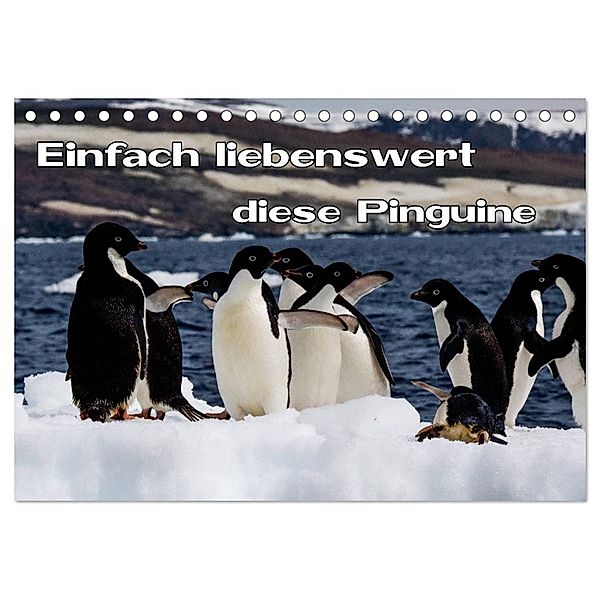 Einfach liebenswert diese Pinguine (Tischkalender 2024 DIN A5 quer), CALVENDO Monatskalender, Frank Baumert