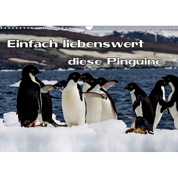 Einfach liebenswert diese Pinguine (Wandkalender 2020 DIN A3 quer), Frank Baumert