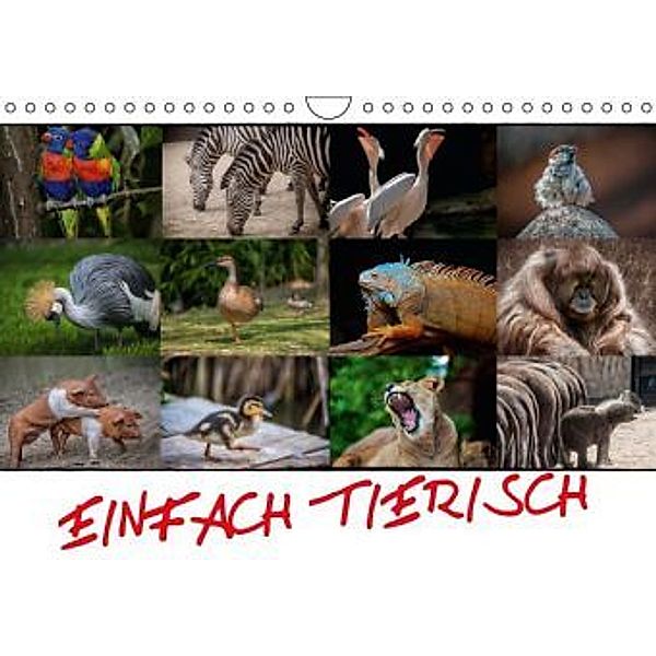 Einfach Tierisch (Wandkalender 2016 DIN A4 quer), Dieter Gödecke