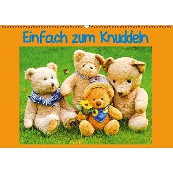 Einfach zum Knuddeln / CH - Version (Wandkalender 2016 DIN A2 quer), Karin Sigwarth