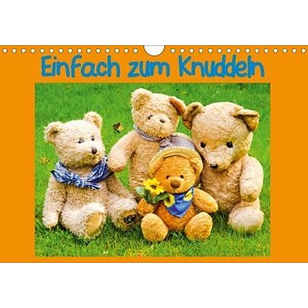 Einfach zum Knuddeln / CH - Version (Wandkalender 2020 DIN A4 quer), Karin Sigwarth