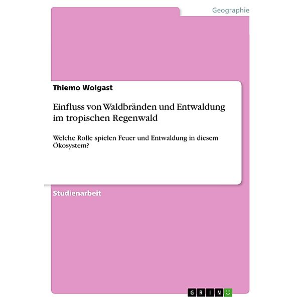 Einfluss von Waldbränden und Entwaldung im tropischen Regenwald, Thiemo Wolgast