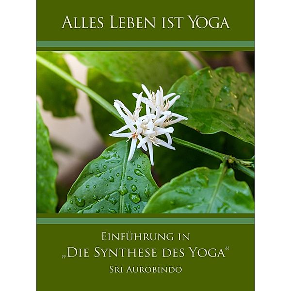 Einführung in Die Synthese des Yoga, Sri Aurobindo