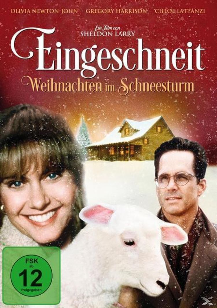 Eingeschneit - Weihnachten im Schneesturm DVD | Weltbild.de