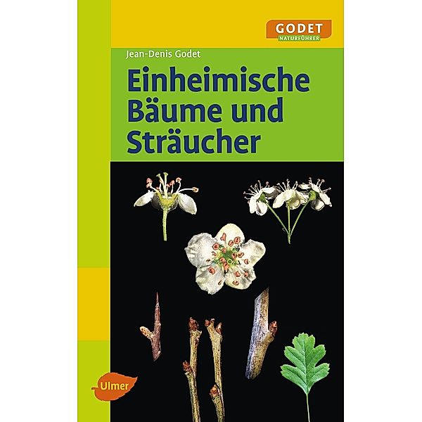 Einheimische Bäume und Sträucher, Jean-Denis Godet