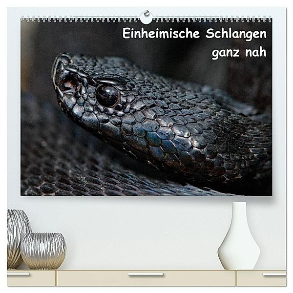 Einheimische Schlangen ganz nah (hochwertiger Premium Wandkalender 2024 DIN A2 quer), Kunstdruck in Hochglanz, Stefan Dummermuth