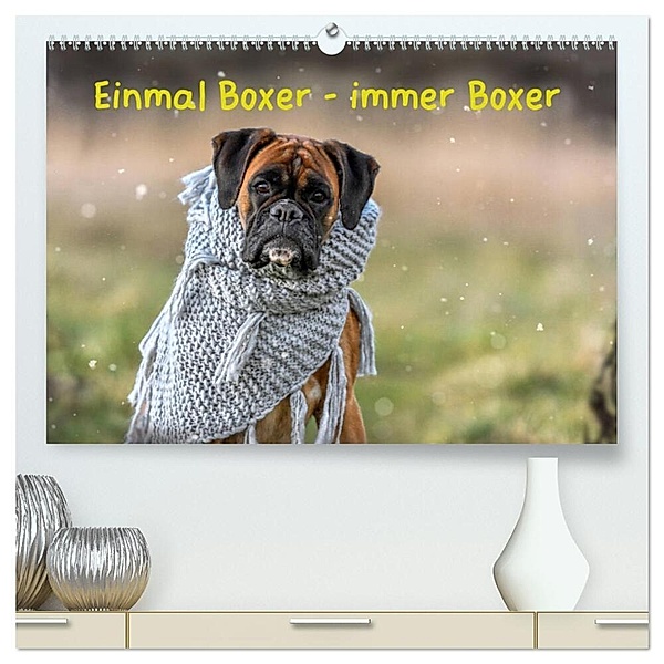 Einmal Boxer - immer Boxer (hochwertiger Premium Wandkalender 2024 DIN A2 quer), Kunstdruck in Hochglanz, Yvonne Janetzek