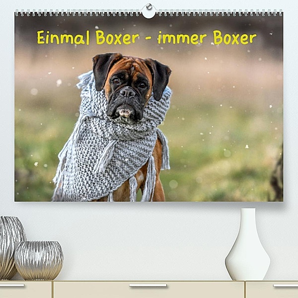 Einmal Boxer - immer Boxer (Premium, hochwertiger DIN A2 Wandkalender 2023, Kunstdruck in Hochglanz), Yvonne Janetzek