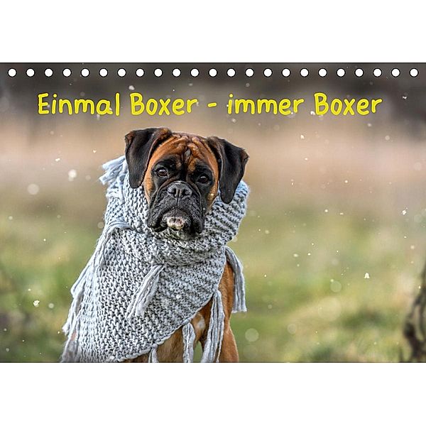 Einmal Boxer - immer Boxer (Tischkalender 2020 DIN A5 quer), Yvonne Janetzek