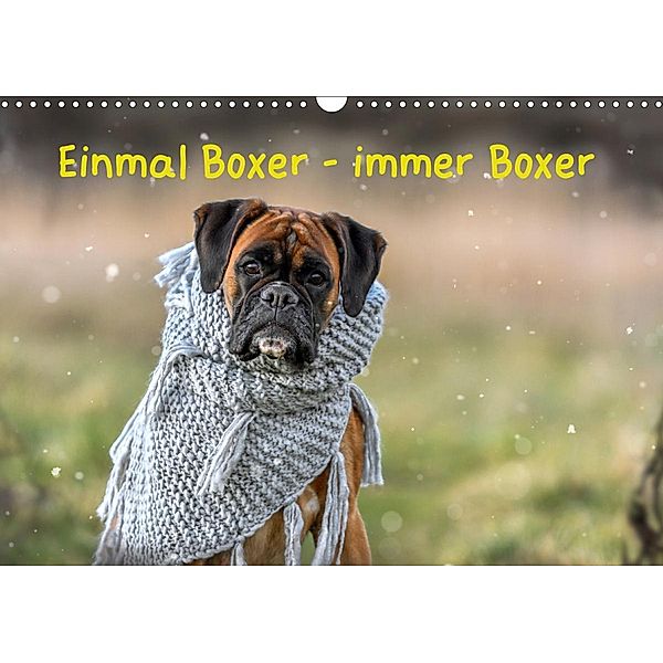 Einmal Boxer - immer Boxer (Wandkalender 2020 DIN A3 quer), Yvonne Janetzek