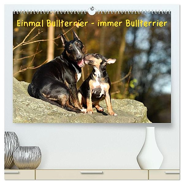 Einmal Bullterrier - immer Bullterrier (hochwertiger Premium Wandkalender 2024 DIN A2 quer), Kunstdruck in Hochglanz, Yvonne Janetzek