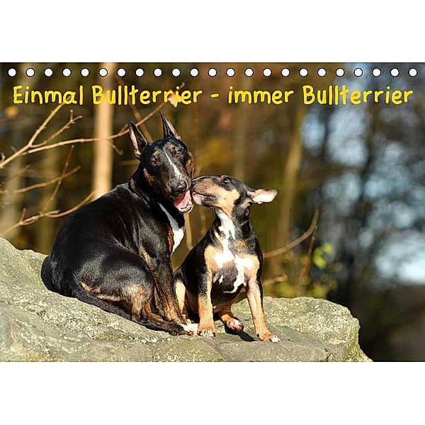 Einmal Bullterrier - immer Bullterrier (Tischkalender 2021 DIN A5 quer), Yvonne Janetzek