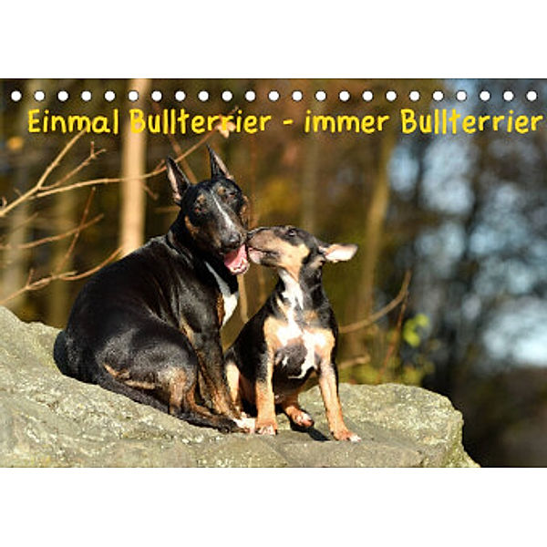 Einmal Bullterrier - immer Bullterrier (Tischkalender 2022 DIN A5 quer), Yvonne Janetzek