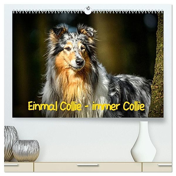 Einmal Collie - immer Collie (hochwertiger Premium Wandkalender 2024 DIN A2 quer), Kunstdruck in Hochglanz, Yvonne Janetzek