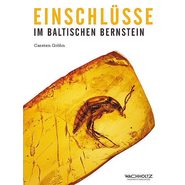 Einschlüsse im baltischen Bernstein, Carsten Gröhn