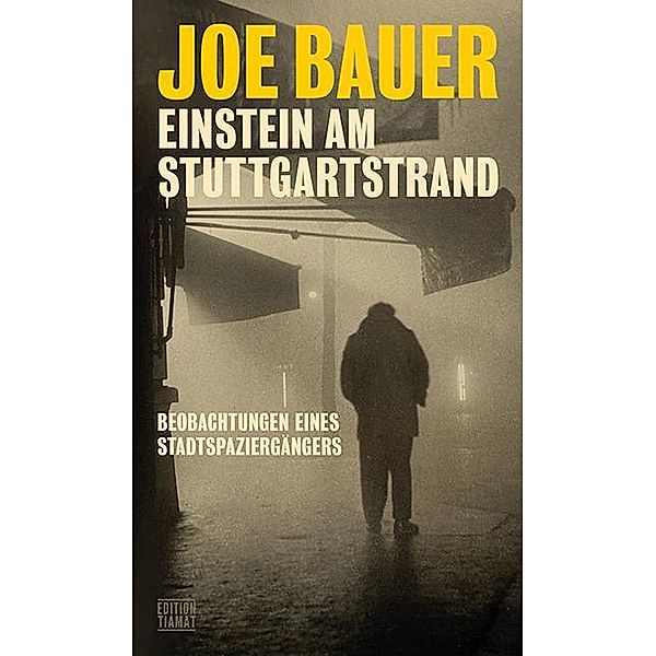 Einstein am Stuttgartstrand, Joe Bauer