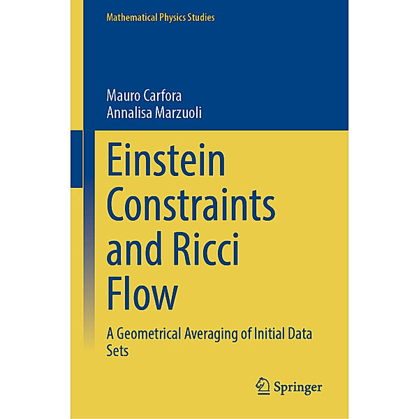 Einstein Constraints and Ricci Flow, Mauro Carfora, Annalisa Marzuoli