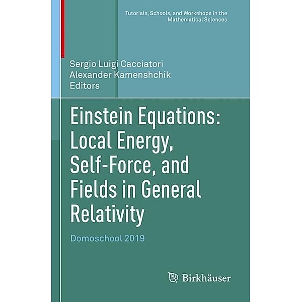 Einstein Equations: Local Energy, Self-Force, and Fields in General Relativity