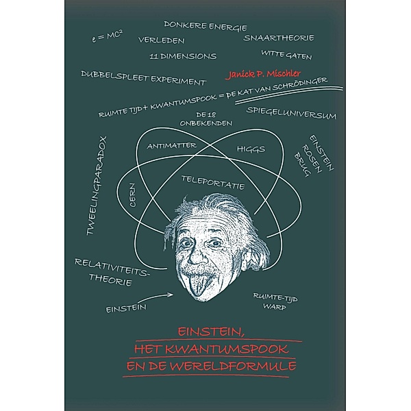 Einstein, het kwantumspook en de wereldformule, Janick Mischler